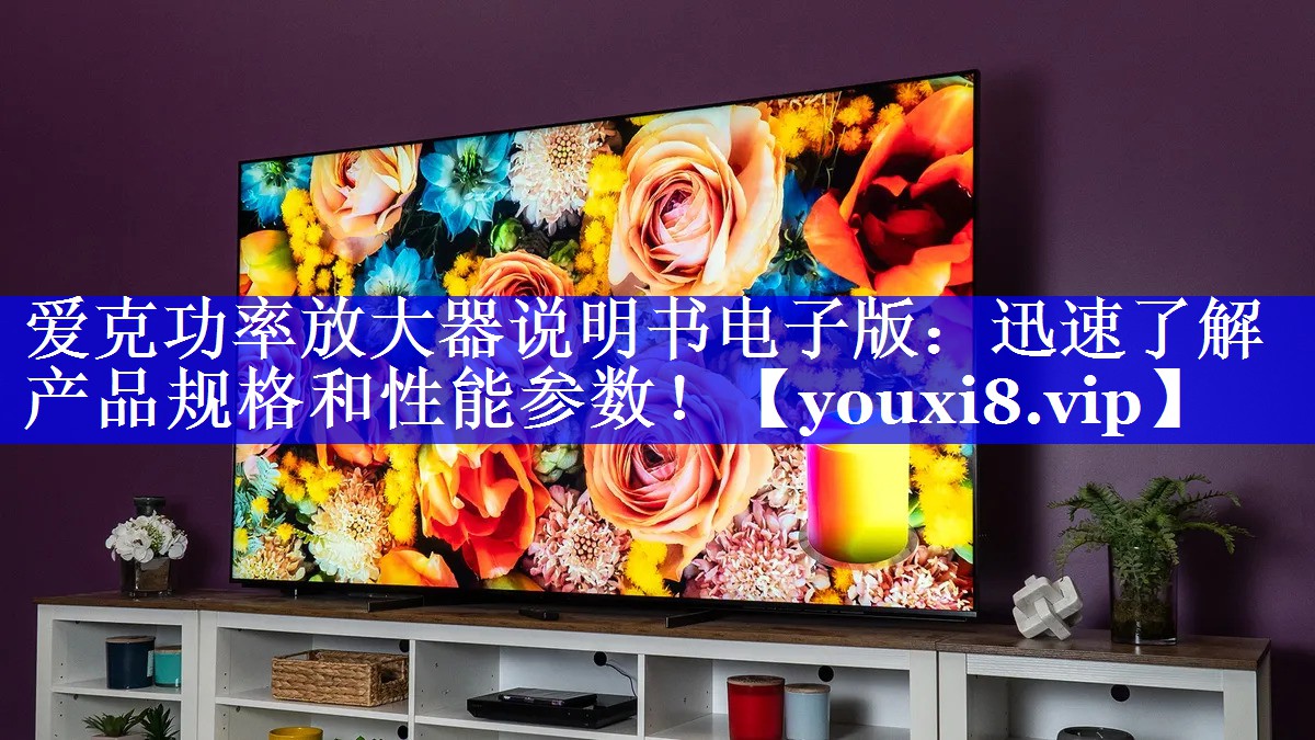 爱克功率放大器说明书电子版:迅速了解产品规格和性能参数! 爱克功率放大器说明书电子版:迅速了解产品规格和性能参数!