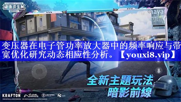 变压器在电子管功率放大器中的频率响应与带宽优化研究动态相应性分析。