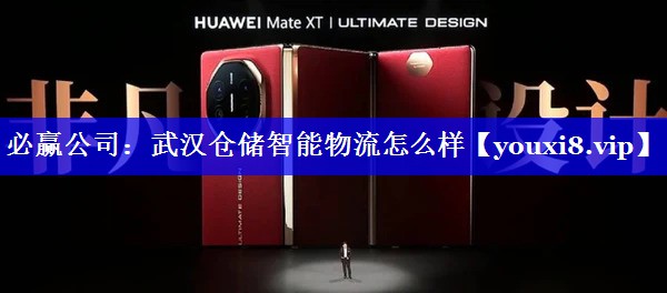 武汉仓储智能物流怎么样